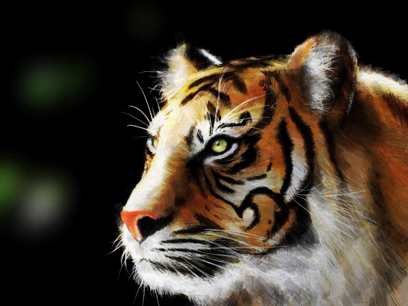 tiger wallpaper splendid