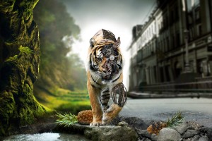 tigers pictures 3d