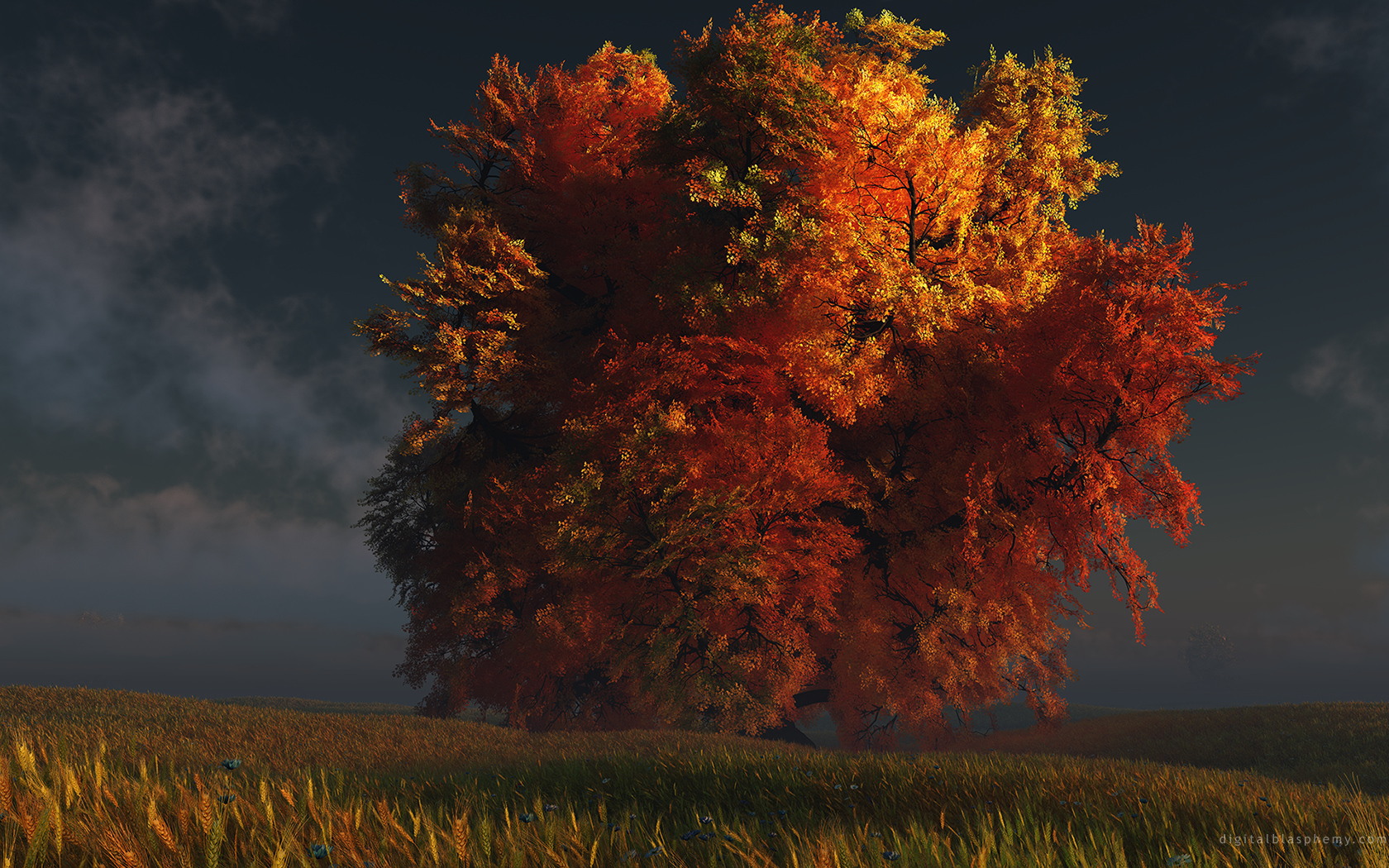 trees wallpapers widescreen