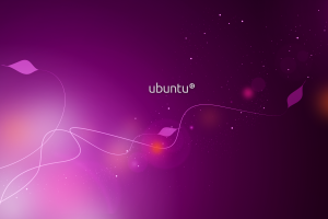 ubuntu wallpaper purple