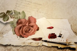vintage rose wallpaper hd