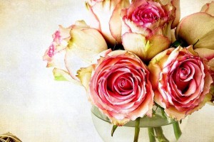 vintage roses wallpaper
