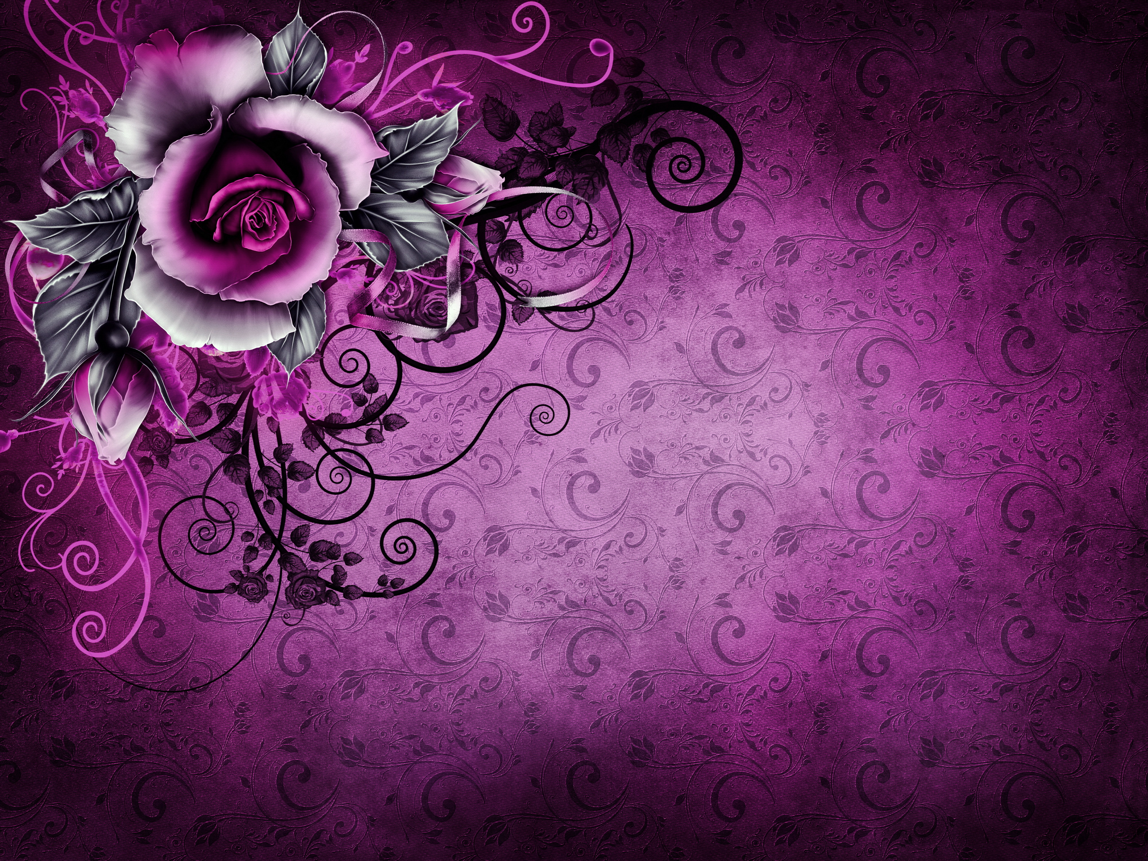 vintage wallpaper rose purple