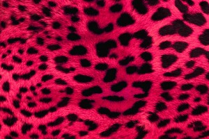 wallpaper leopard pink print