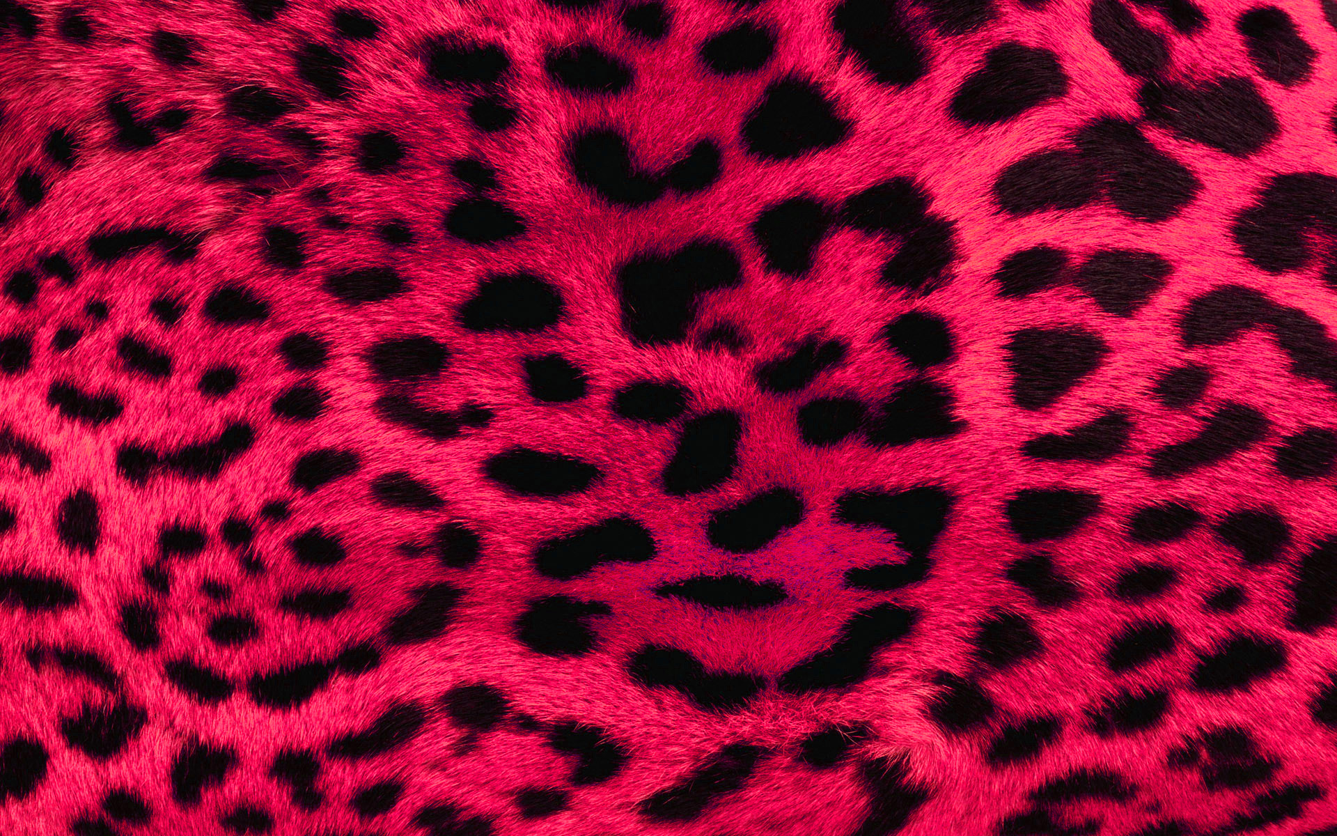 wallpaper leopard pink print