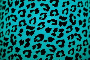 wallpaper leopard print cyan