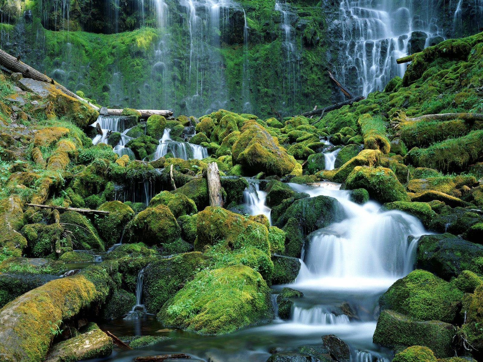 waterfall wallpapers delight