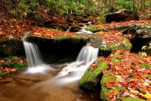 waterfall wallpapers tablet