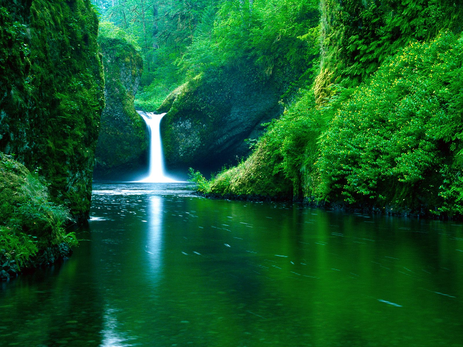 waterfall wallpapers tropical