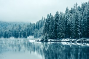 winter desktop backgrounds free