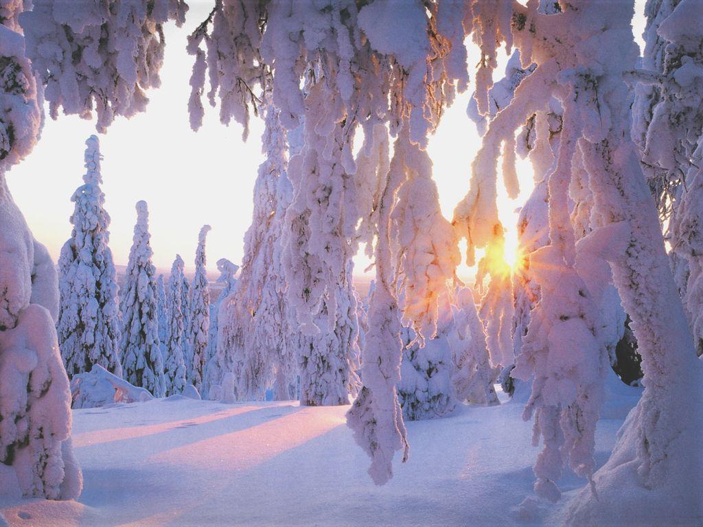 winter wallpapers cool