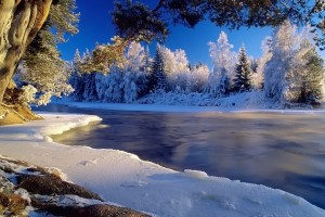 winter wallpapers free