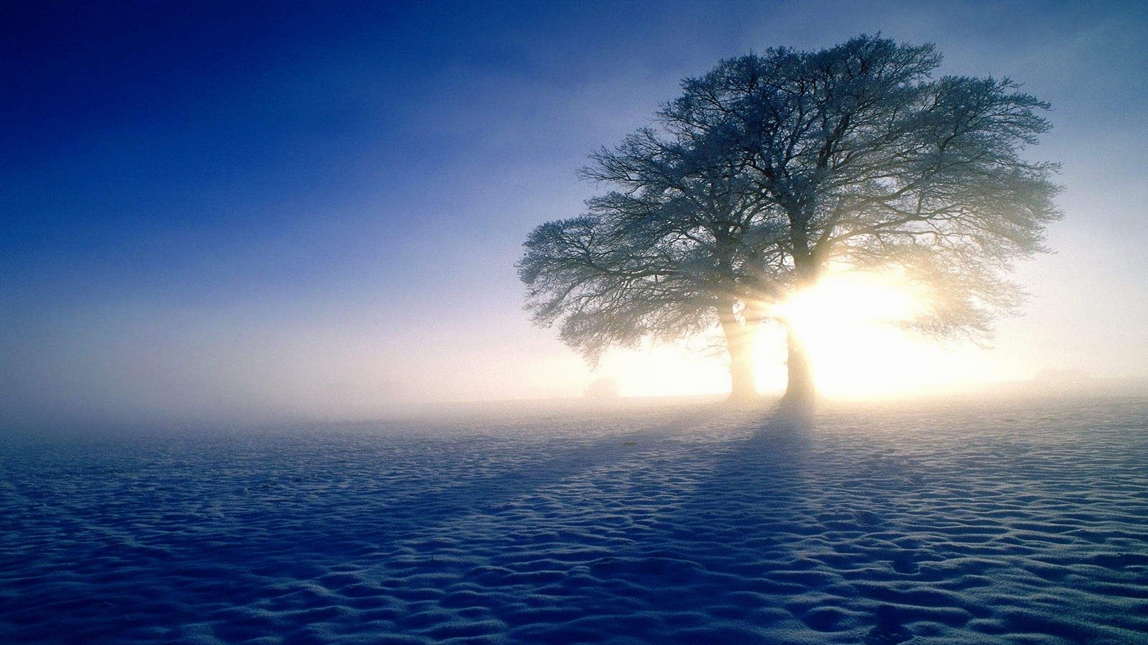 winter wallpapers hd alluring
