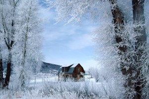 winter wallpapers hd home