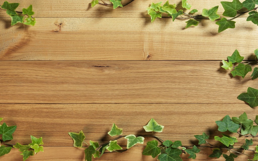 wood wallpaper green
