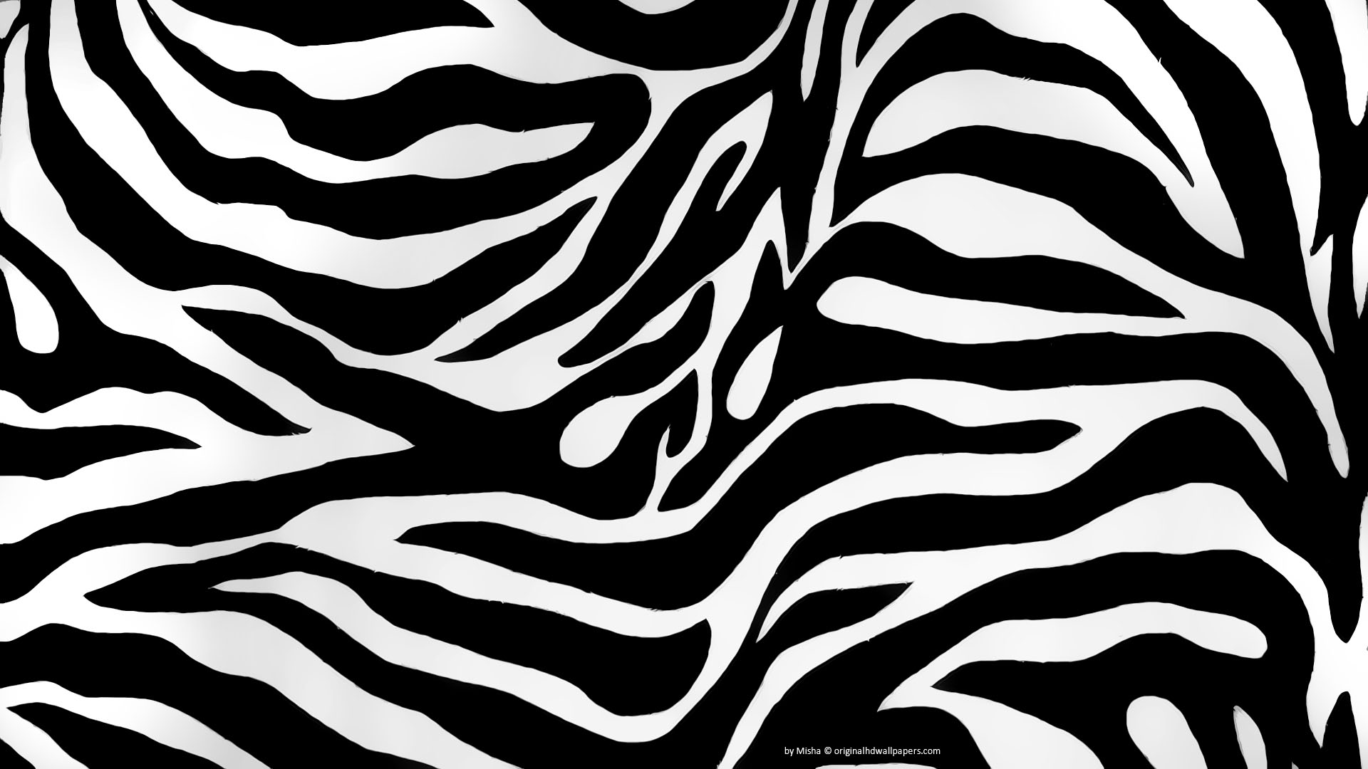 zebra print wallpapers black and white