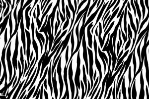 zebra print wallpapers free