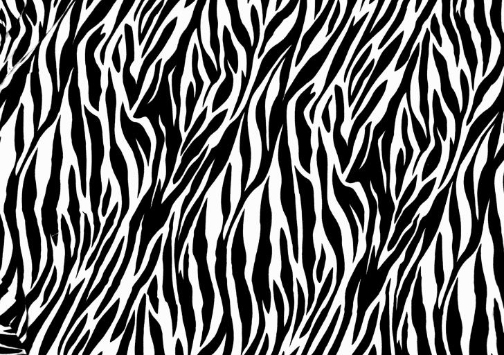 zebra print wallpapers free