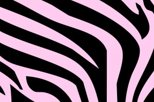 zebra print wallpapers light pink