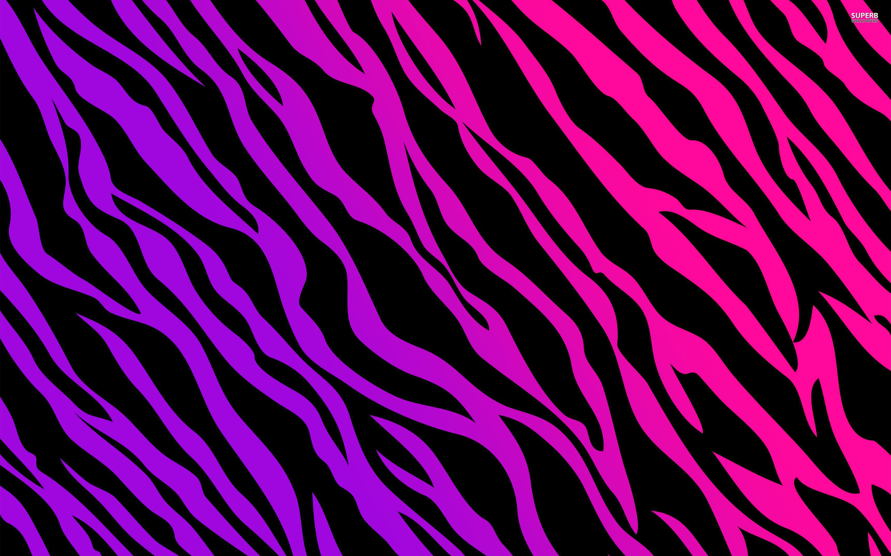 zebra print wallpapers pink purple
