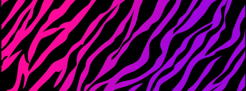 zebra print wallpapers purple pink - HD Desktop Wallpapers | 4k HD