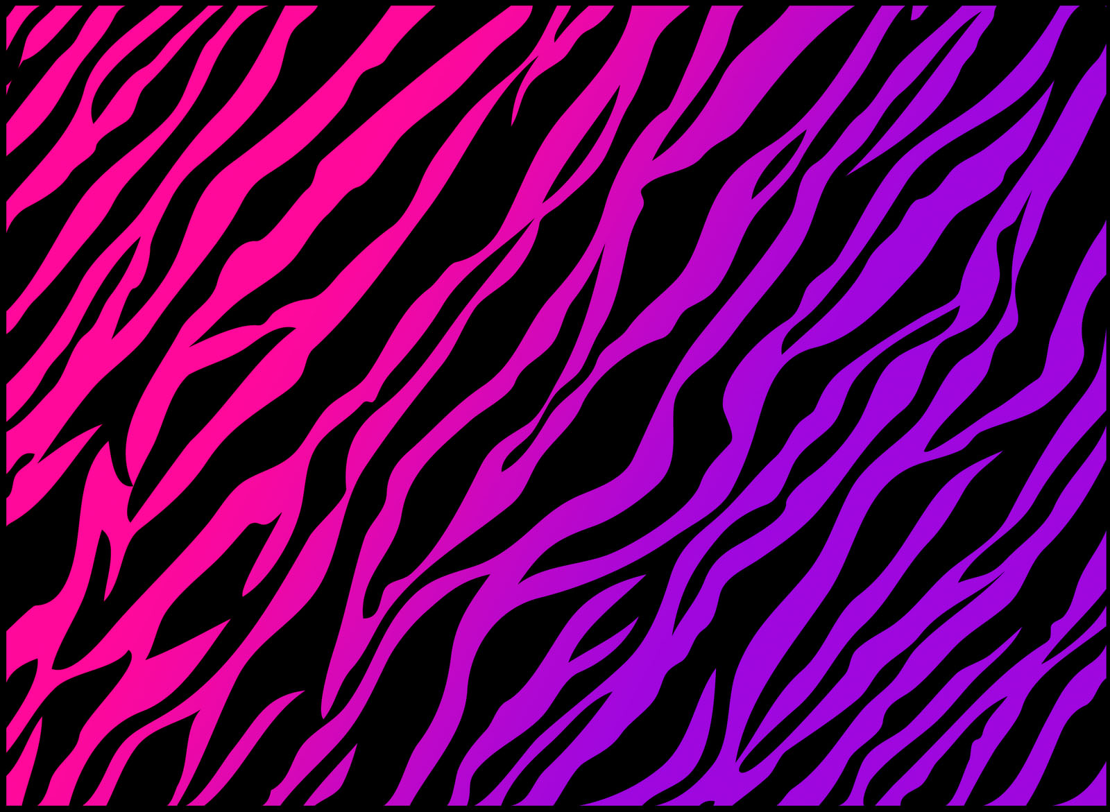 zebra print wallpapers purple pink