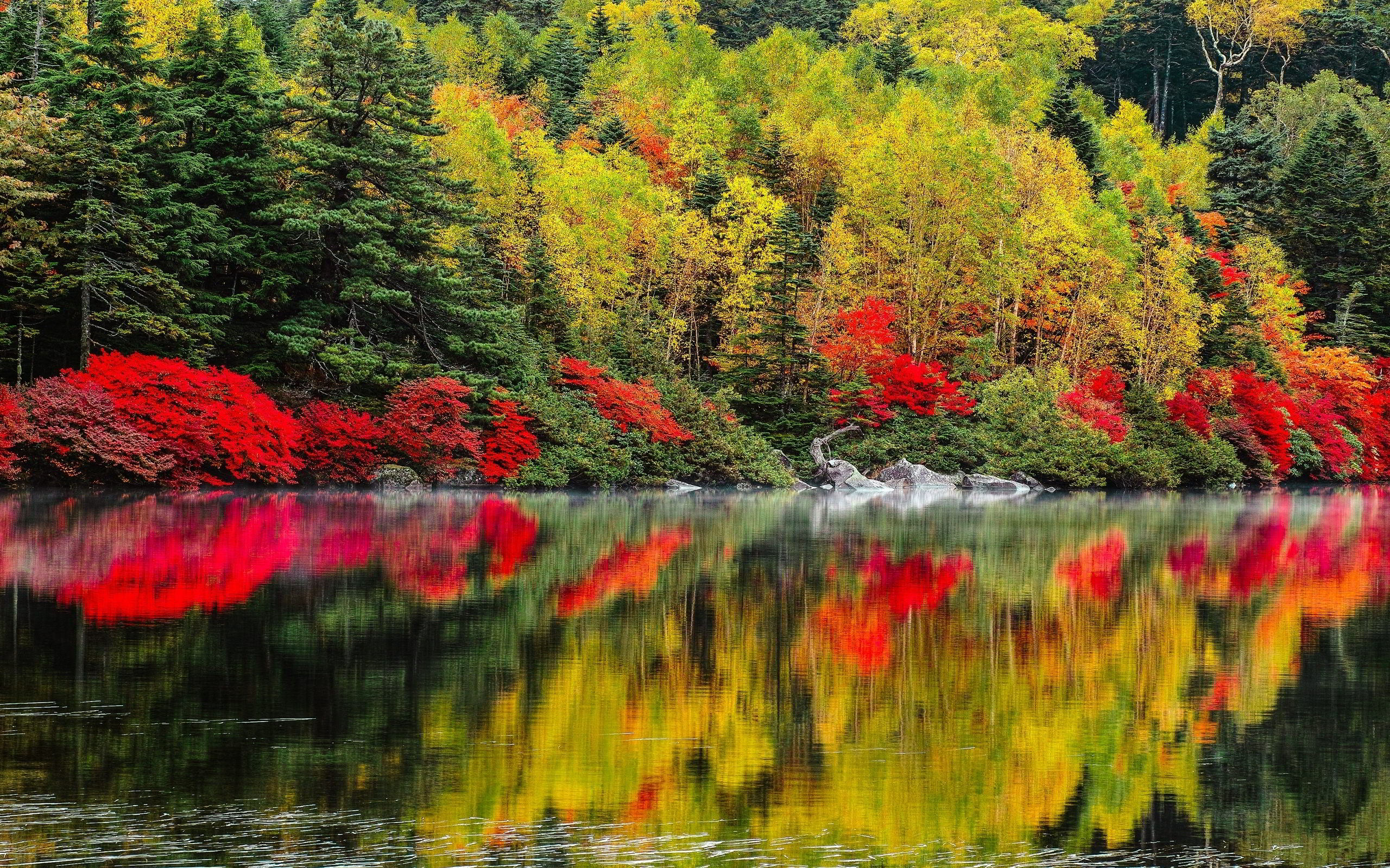 autumn lake pictures
