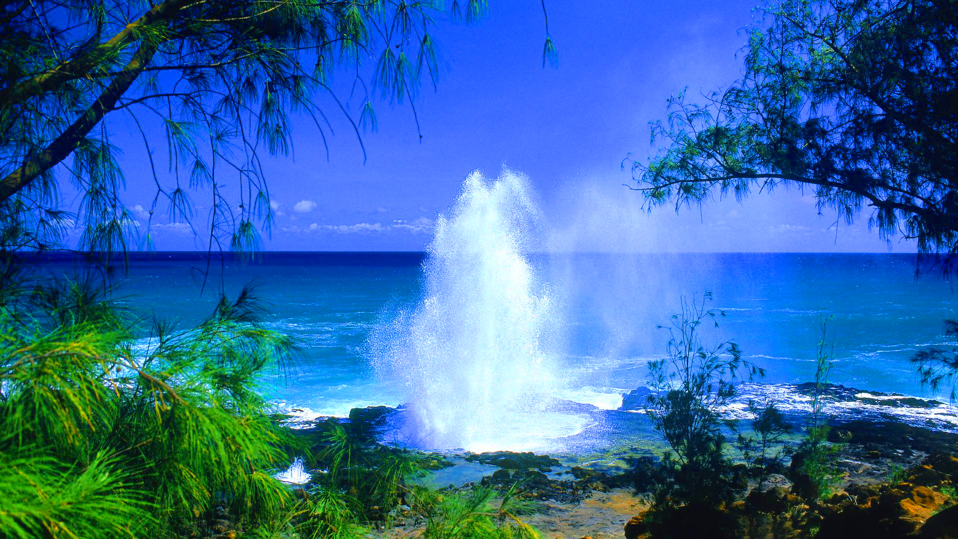 Экранная лет. Остров Кауаи, Гавайские острова. Природа море. Тропические воды. Красота моря.