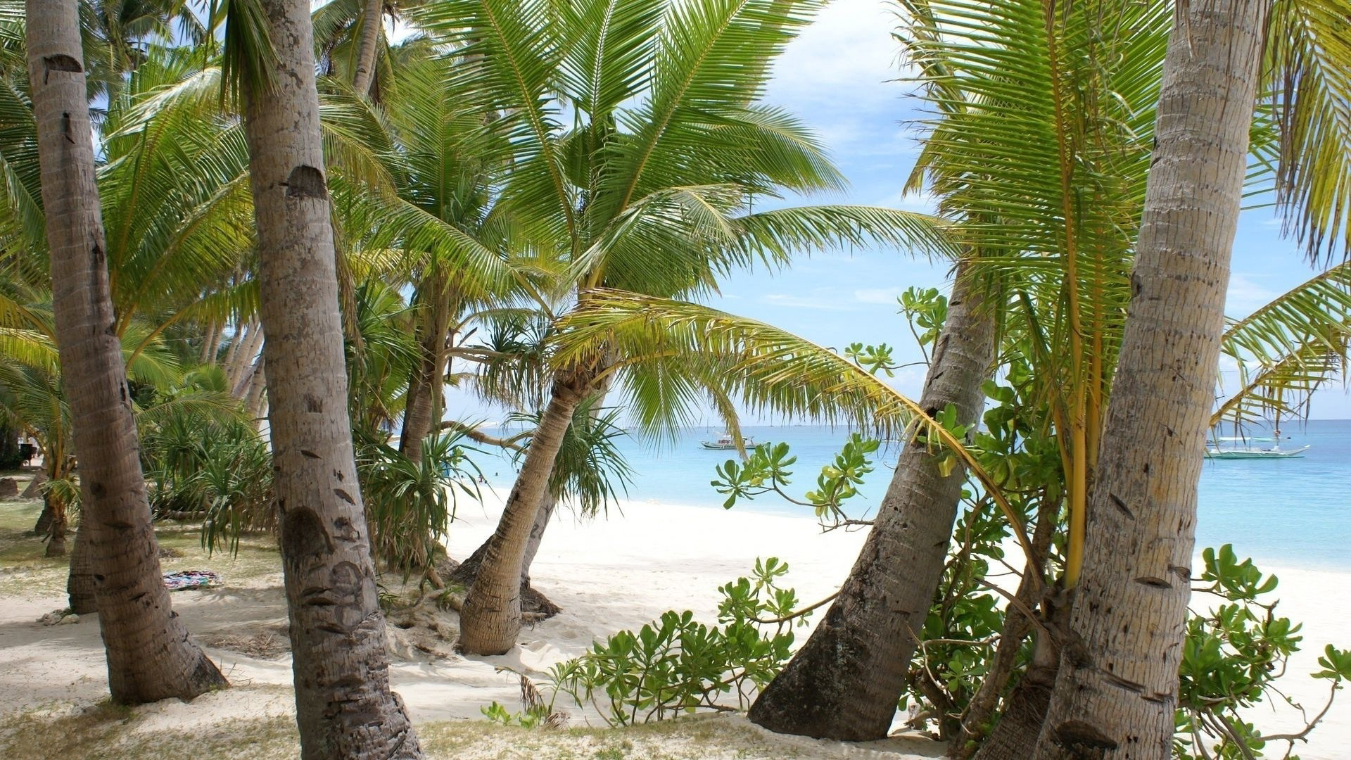 beach palms sand trees - HD Desktop Wallpapers | 4k HD