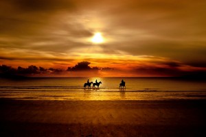 beautiful sunset wallpaper horse