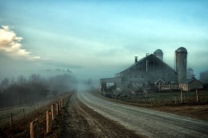 foggy farmstead wallpaper