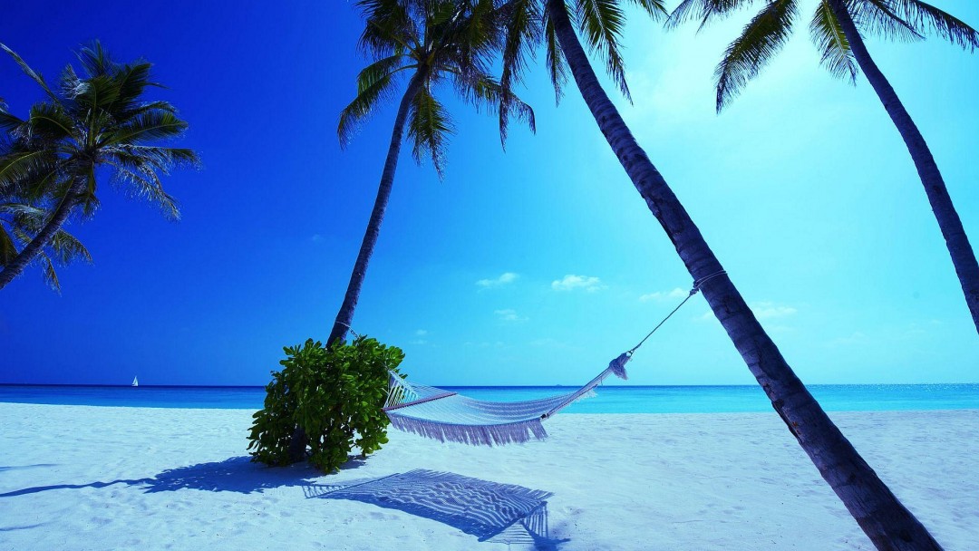 hammock maldives beach nature - HD Desktop Wallpapers | 4k HD