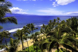 hawaii beach