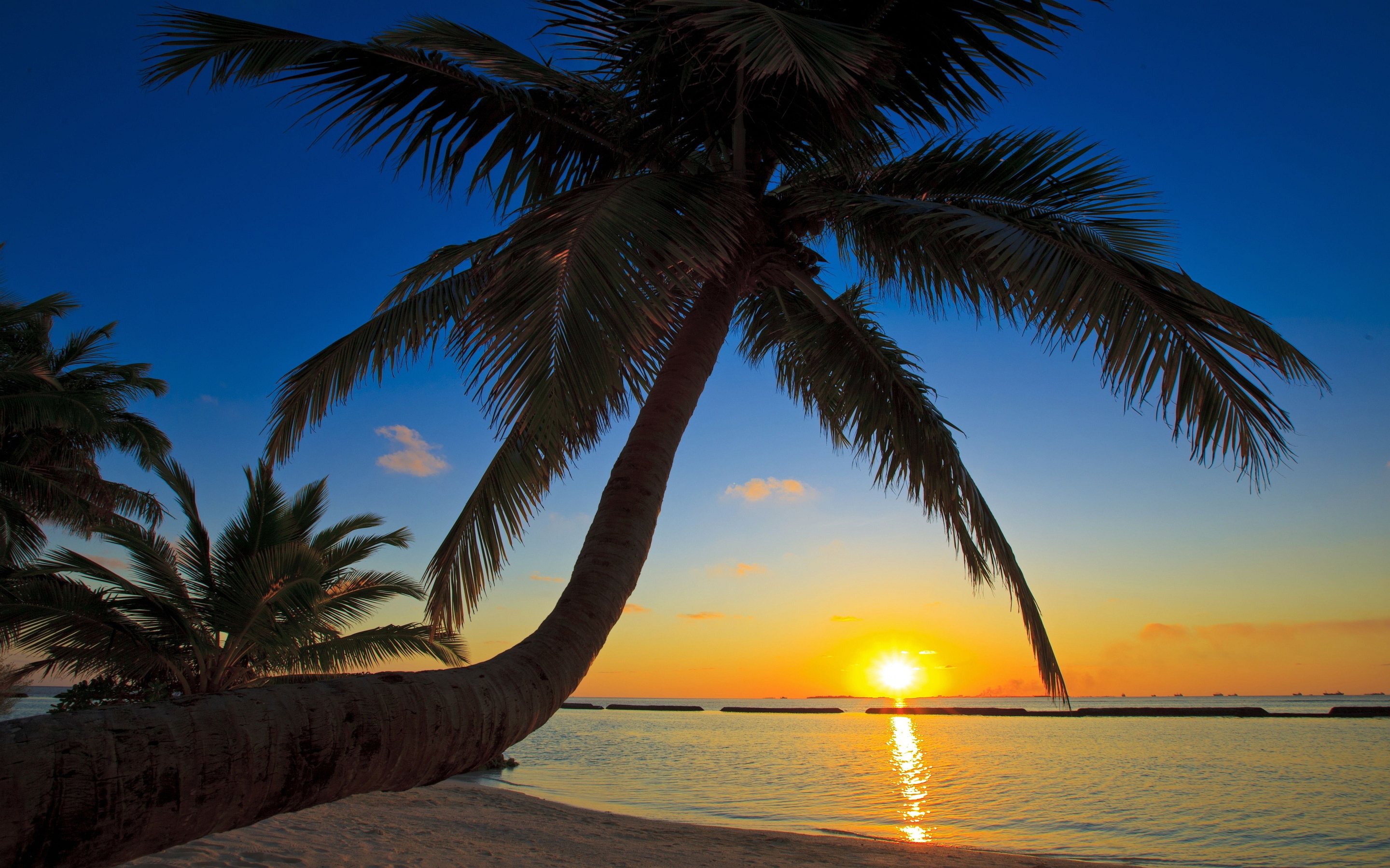 kurumba beach sunset