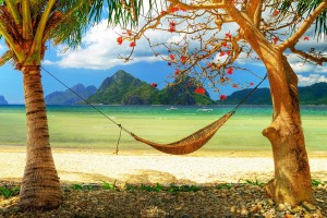 nature beach hammock