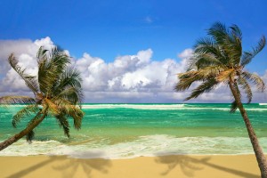 palm beach island images