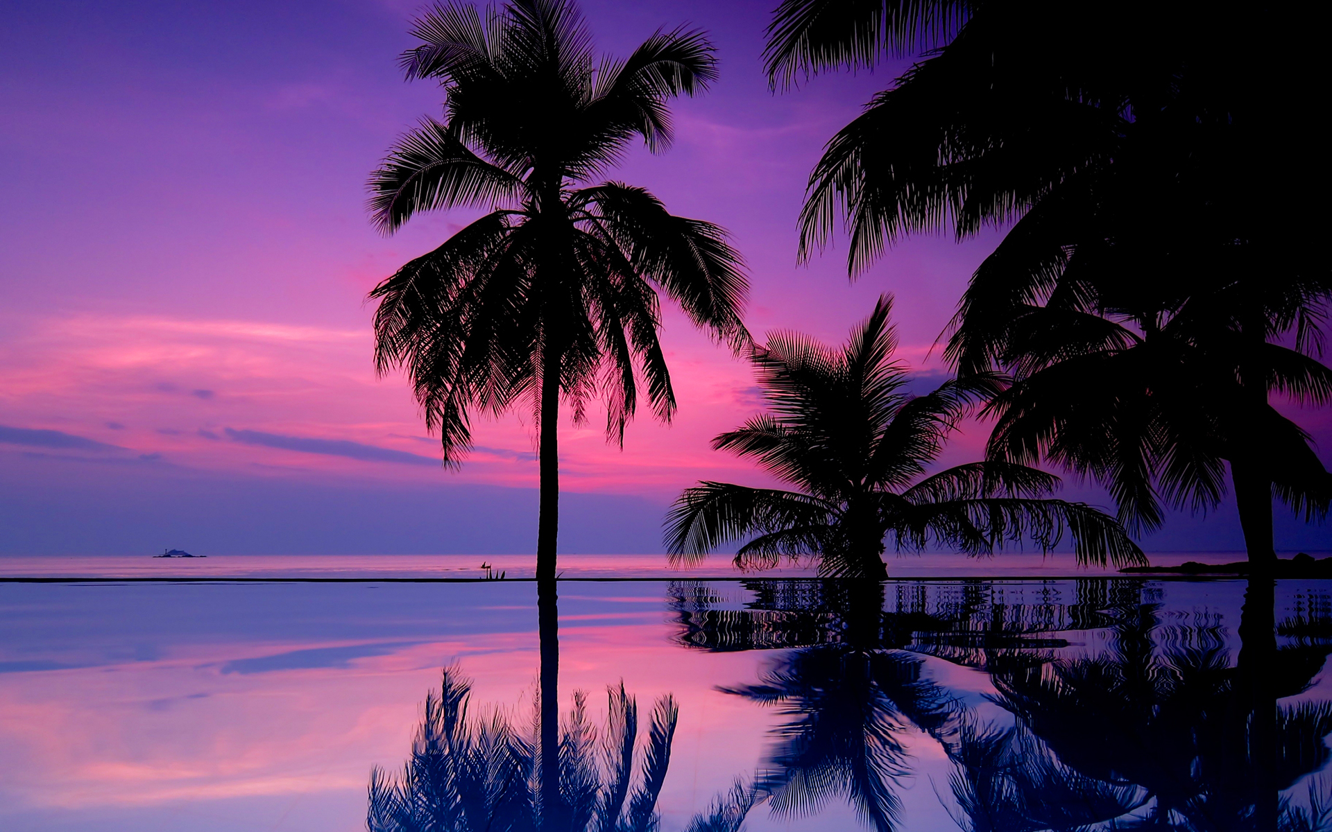 purple sunset wallpaper tropical