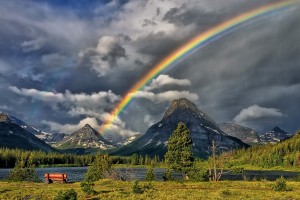 rainbow hd