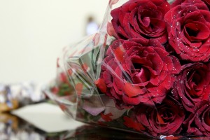 roses romantic love