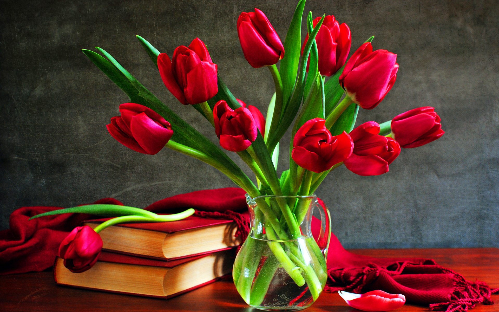 tulips wallpapers hd red