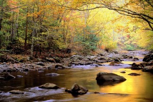 autumn beautiful river