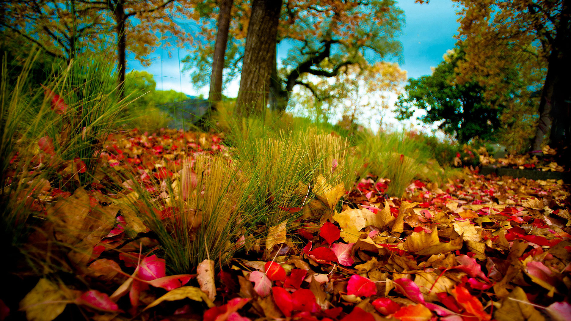 autumn wallpaper landscape