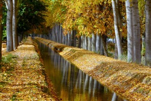 autumn wallpaper park hd