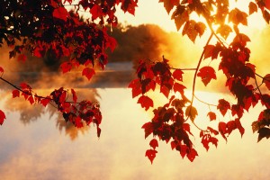 autumn wallpaper scenery