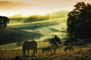 countryside wallpapers