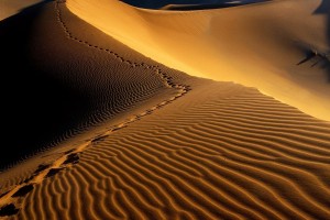 desert wallpaper 1080p