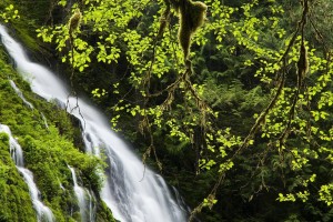 fantastic waterfall hd
