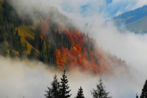 foggy landscape wallpaper