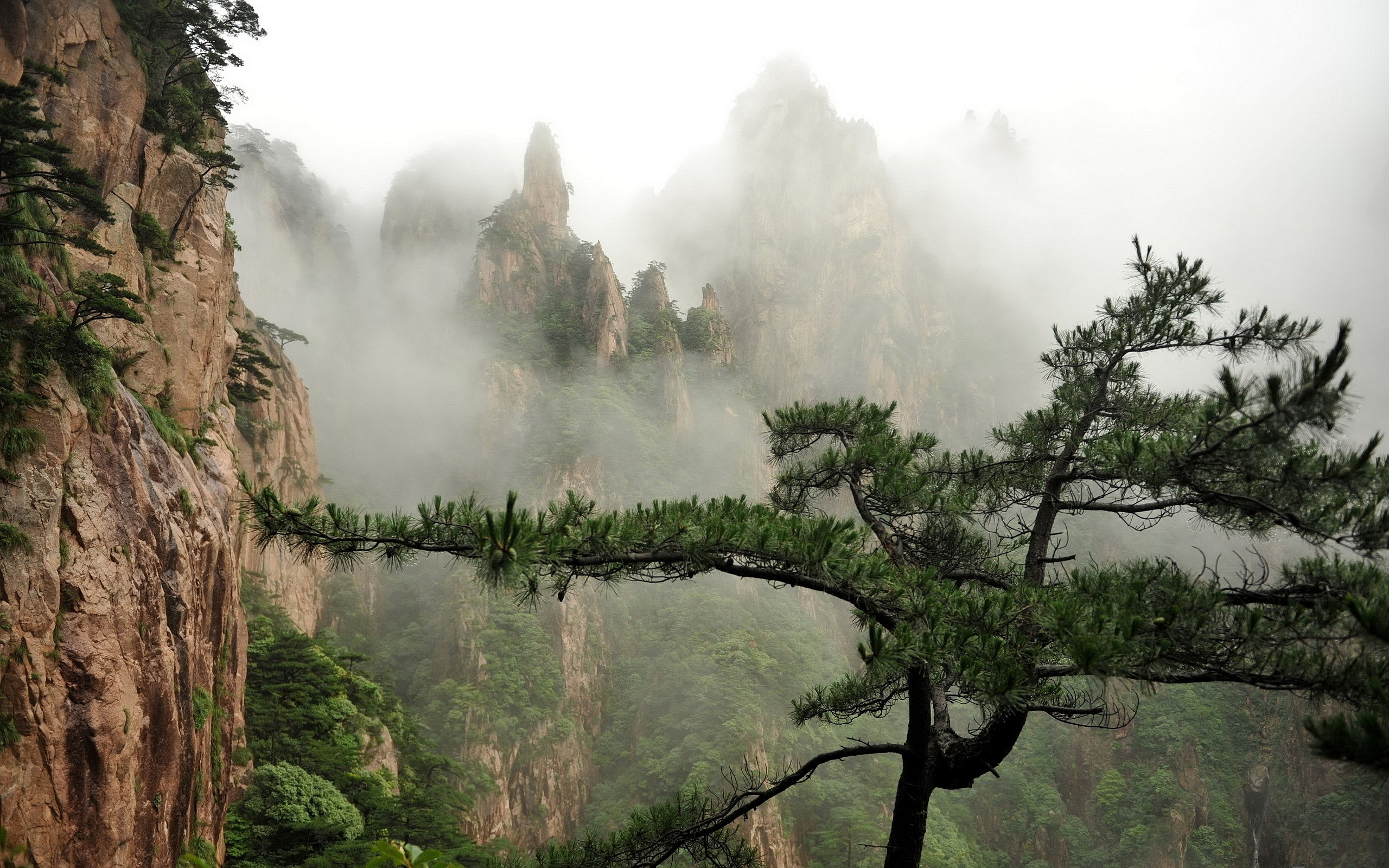 foggy scenery photography - HD Desktop Wallpapers | 4k HD