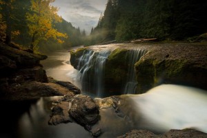 forest wallpaper waterfalls